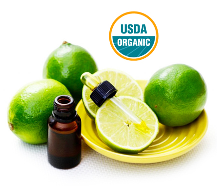 wholesale cold pressed organic lime essential oil suppliers in united states